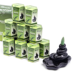 Paquete de 10 Incienso Masala Backflow - Eucalipto